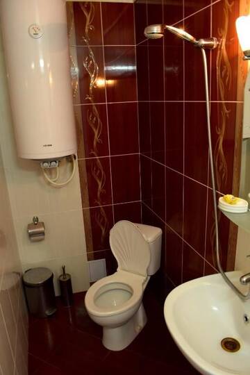 Фото номера Двухместный номер с 2 отдельными кроватями Отель Complex Pele г. Zmeitsa 6
